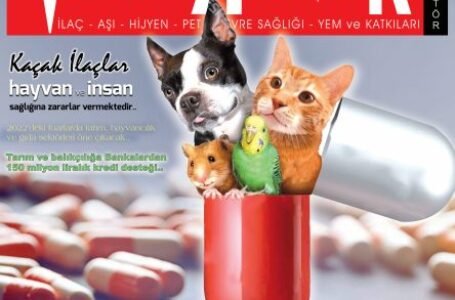 Aralık 2021 Dergi