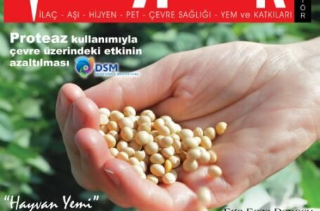 Ocak 2022 Dergi