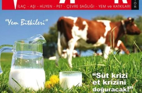 Mart 2022 Dergi