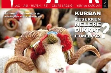 Haziran 2022 Dergi